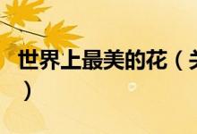 世界上最美的花（關(guān)于世界上最美的花的介紹）