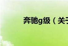 奔馳g級（關于奔馳g級的介紹）