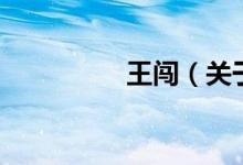 王闖（關(guān)于王闖的介紹）