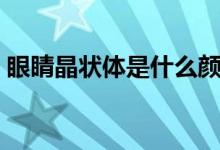 眼睛晶狀體是什么顏色（眼睛晶狀體是什么）