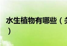 水生植物有哪些（關(guān)于水生植物有哪些的介紹）