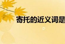 寄托的近義詞是什么（寄托的意思）