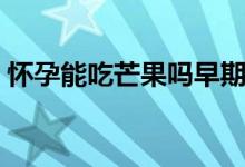 懷孕能吃芒果嗎早期（懷孕早期能吃芒果嗎）