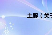 土豚（關(guān)于土豚的介紹）