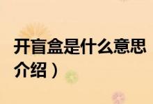 開盲盒是什么意思（關(guān)于開盲盒是什么意思的介紹）