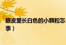 眼皮里長白色的小顆粒怎么辦（眼皮翻開有白色顆粒怎么回事）