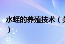 水蛭的養(yǎng)殖技術(shù)（關(guān)于水蛭的養(yǎng)殖技術(shù)的介紹）