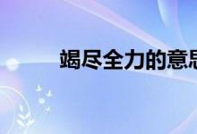 竭盡全力的意思（竭盡全力釋義）