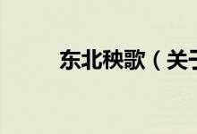 東北秧歌（關于東北秧歌的介紹）