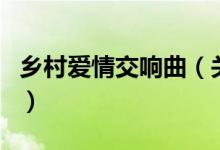 鄉(xiāng)村愛(ài)情交響曲（關(guān)于鄉(xiāng)村愛(ài)情交響曲的介紹）