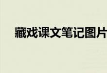 藏戲課文筆記圖片（藏戲課文筆記圖片）