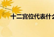 十二宮位代表什么（十二宮位的意思）