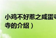 小雞不好惹之咸蛋寺（關(guān)于小雞不好惹之咸蛋寺的介紹）