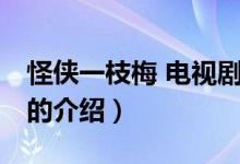 怪俠一枝梅 電視?。P(guān)于怪俠一枝梅 電視劇的介紹）
