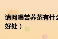 請問喝苦蕎茶有什么好處（常喝苦蕎茶有什么好處）