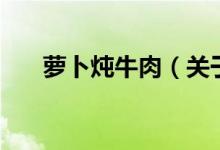 蘿卜燉牛肉（關(guān)于蘿卜燉牛肉的介紹）