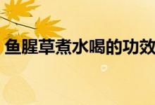 魚腥草煮水喝的功效（魚腥草煮水喝的功效）