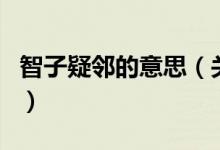 智子疑鄰的意思（關(guān)于智子疑鄰的意思的介紹）