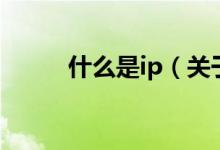 什么是ip（關(guān)于什么是ip的介紹）