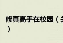 修真高手在校園（關于修真高手在校園的介紹）