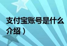 支付寶賬號是什么（關(guān)于支付寶賬號是什么的介紹）