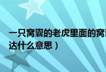 一只窩囊的老虎里面的窩囊是什么意思（一只窩囊的老虎表達(dá)什么意思）
