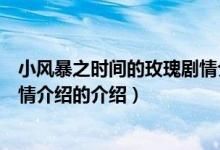 小風(fēng)暴之時(shí)間的玫瑰劇情介紹（關(guān)于小風(fēng)暴之時(shí)間的玫瑰劇情介紹的介紹）