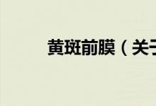 黃斑前膜（關(guān)于黃斑前膜的介紹）