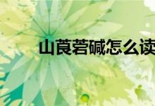 山莨菪堿怎么讀（山莨菪堿是什么）