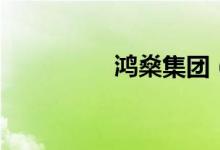 鴻燊集團(tuán)（鴻燊怎么讀）