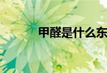 甲醛是什么東西（甲醛的解釋）