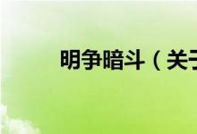 明爭暗斗（關(guān)于明爭暗斗的介紹）