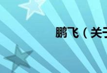 鵬飛（關(guān)于鵬飛的介紹）