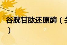 谷胱甘肽還原酶（關(guān)于谷胱甘肽還原酶的介紹）