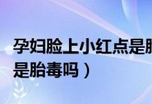 孕婦臉上小紅點是胎毒（懷孕肚子上長紅點會是胎毒嗎）