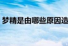 夢精是由哪些原因造成的（夢精是什么原因）