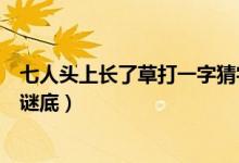 七人頭上長了草打一字猜字謎答案（七人頭上長了草打一字謎底）