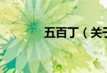 五百?。P(guān)于五百丁的介紹）