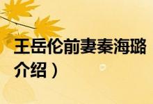 王岳倫前妻秦海璐（關(guān)于王岳倫前妻秦海璐的介紹）