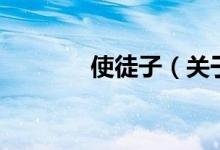 使徒子（關(guān)于使徒子的介紹）