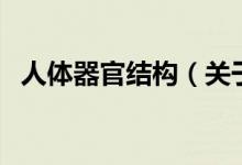 人體器官結(jié)構(gòu)（關(guān)于人體器官結(jié)構(gòu)的介紹）
