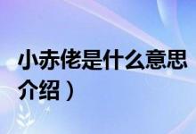 小赤佬是什么意思（關(guān)于小赤佬是什么意思的介紹）