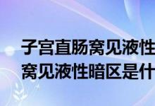 子宮直腸窩見液性暗區(qū)深10mm（子宮直腸窩見液性暗區(qū)是什么）