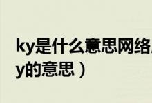 ky是什么意思網(wǎng)絡(luò)用語(yǔ)（怎么理解網(wǎng)絡(luò)用語(yǔ)ky的意思）