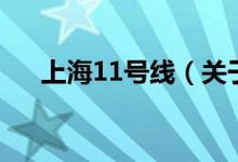 上海11號線（關于上海11號線的介紹）