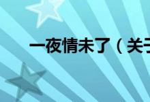 一夜情未了（關(guān)于一夜情未了的介紹）