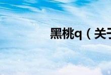 黑桃q（關于黑桃q的介紹）