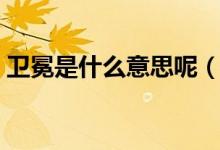 衛(wèi)冕是什么意思呢（衛(wèi)冕是什么意思是什么）