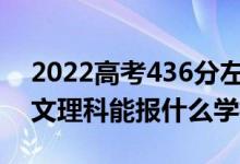 2022高考436分左右能上哪些大學（新高考文理科能報什么學校）
