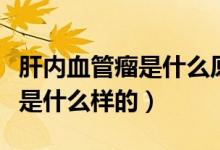 肝內(nèi)血管瘤是什么原因引起的啊（肝內(nèi)血管瘤是什么樣的）